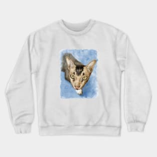 Cute adorable cat portrait watercolor painting Crewneck Sweatshirt